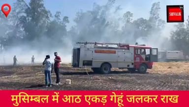 यमुनानगर के मुसिम्बल गांव में बिजली का तार टूटने से आठ एकड़ गेहूं की फसल जलकर हुई राख
#viralpost2025シ #viralreelsfacebo...