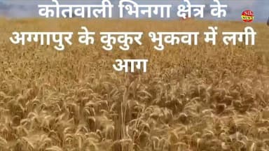 भिनगा क्षेत्र में लगी गेहूँ के खड़ी फसल में भीषण आग।
#श्रावस्ती के अग्गापुर के कुकुर भुकवा में लगी आग।
#up #viralreel #...