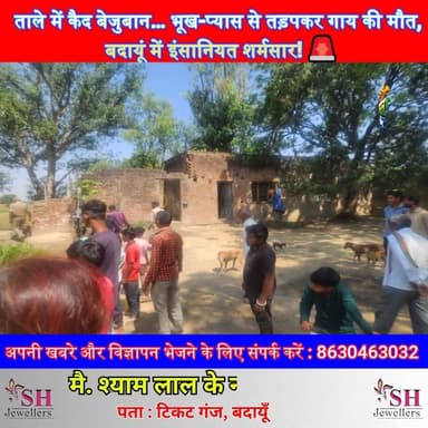 ताले में बंद बेजुबान, भूख-प्यास से मौत—बदायूं में क्रूरता पर भड़का गुस्सा! 🚨 | #BudaunNews #AnimalCruelty #BreakingNews...