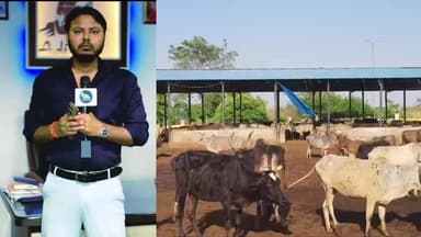 कासगंज: सपा सांसद देवेश शाक्य ने पचलाना गौशाला का किया निरीक्षण, बोले- गौशाला का मंजर देख कांप गई रूह