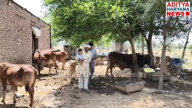 महेंद्रगढ़ जिले के इस किसान ने कर दिखाया कमाल #प्राकृतिक गेहूं बिना मार्केटिंग के ही 8607791715