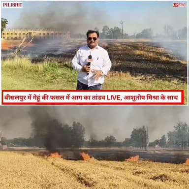 बड़ी खबर : बीसलपुर में गेहूं की फसल में आज का तांडव, देखिए LIVE तस्वीरे #pilibhit #bisalpur