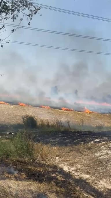 जिनावली ओनेरा रोड पर गेहूं के खेत में लगी भीषण आग