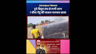 Jaunpur News : टूटे विद्युत तार से लगी आग | 7 बीघा गेहूं की फसल जलकर खाक #sujanganj #Jaunpur