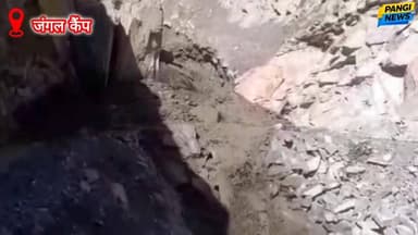 तिन्दी जंगल कैंप के पास नाले में उफान, सीमा सड़क संगठन ने त्वरित कार्रवाई कर बहाल किया मुख्य संपर्क मार्ग 🌟💨🔥🌈💪 #BRO #Hi...