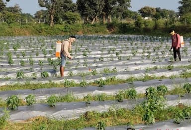 नई सिंचाई योजना से क्षेत्र को मिला बड़ा तोहफा!
जल संसाधन विभाग ने महासमुंद संभाग अंतर्गत दरबेकेरा लिफ्ट सिंचाई योजना प...