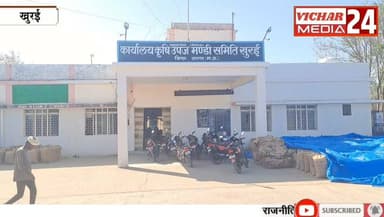 मंडी में अनाज बेचने से लेकर तुलवाने तक किसान बनाए रखें नजर, अन्यथा आपके साथ भी हो सकता है ऐसा, जानिए #khurai #khurainews...