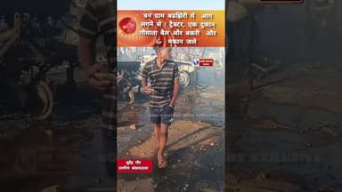 हरदा के वन ग्राम मे आग लगने से गौमाता बैल बकरी एक ट्रैक्टर और 6 मकान जल गए ! #viralvi #news #न्यूज़