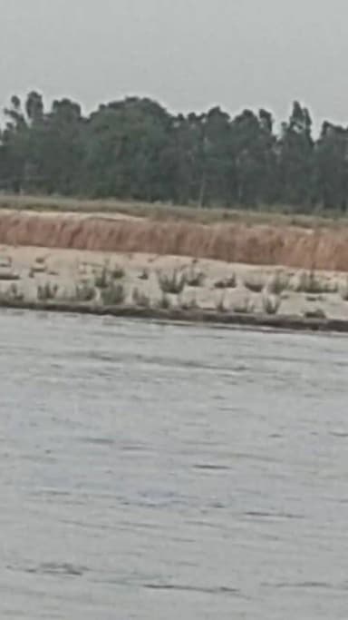 यमुना का जल सतर बढ़ने से किसानों के चेहरे खिले