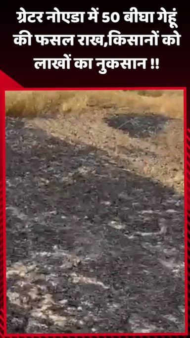 गौतम बुद्ध नगर: ग्रेटर नोएडा में 50 बीघा गेहूं की फसल राख हुई, किसानों को लाखों का नुकसान