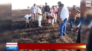 करैरा के इमलिया गांव में भीषण आग, 70-80 बीघा गेहूं की फसल जलकर खाक || SHIVPURI NEWS EXPRESS
#shivpurinewsexpress #shiv...