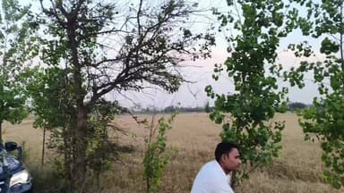 #रुद्रपुर: गंगापुर गांव में 30-35 एकड़ गेहूं की फसल में भीषण आग किसानों में मचा हड़कंप, भारी नुकसान।