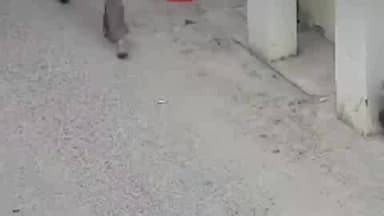 जयपुर: जवाहर सर्किल थाना क्षेत्र में एक प्रेग्नेंट महिला के साथ दरिंदे ने सुनसान गली में हैवानियत की हदें पार की