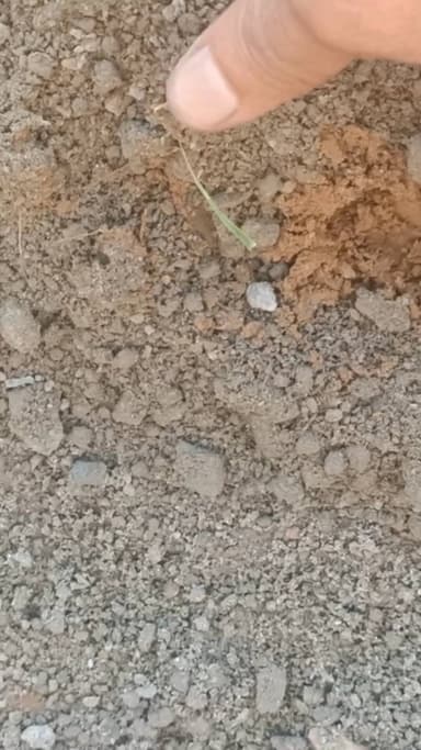 चरखी दादरी नागरिकों का कहना है रेत के ऊपर सीमेंट का मेल बनता है क्या?? देख लो ??करोड़ो का बजट 3 महीने में ये काम, अचानक पहुचे दादागुरु