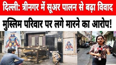 दिल्ली के त्रीनगर में सूअर पालन से बढ़ा विवाद, मुस्लिम परिवार पर लगे मारने का आरोप !#trinagar