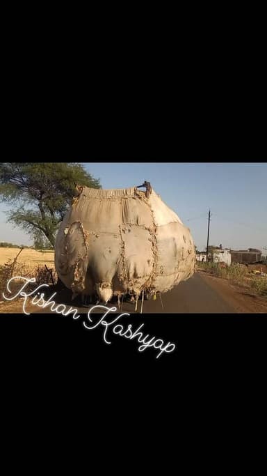 दिनदहाड़े सड़कों पर चल रहा हैं मौत का समान,
यह अद्भुत नजारा आपको ऊमरी पुलिस चौकी अंतर्गत अधिक दिखने को मिल सकता हैं,
...