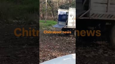 देखे कैसे पिंजरे से छूटते ही दौड़ पड़ा तेंदुआ #highlights #तेंदुआ