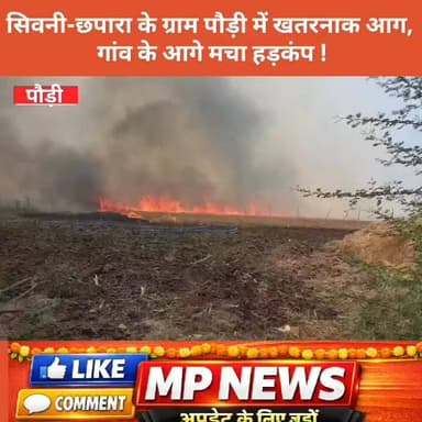 सिवनी-छपारा के ग्राम पौड़ी में खतरनाक आग, गांव के आगे मचा हड़कंप !
#seoni
#inmpbreaking
न्यूज सिवनी ब्रेकिंग