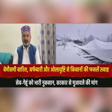 बेमौसमी बारिश, बर्फबारी और ओलावृष्टि से किसानों की फसलें तबा.| ह
सेब-गेहूं को भारी नुकसान, सरकार से मुआवजे की मांग
#Him...