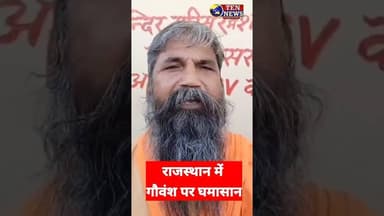 राजस्थान में गौवंश पर घमासान, साधू ने दिया बड़ा संकेत #tennewsone #shortvideo #rajsthannews