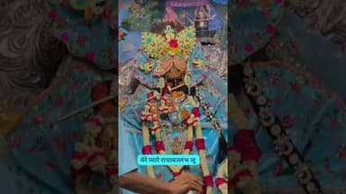 #वृन्दावन राधा बल्ल्भ जी की आरती के दर्शन@