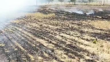 चरखी दादरी: कांहड़ा में गेहूं के तूड़े में लगी आग, फायर ब्रिगेड और ग्रामीणों ने कड़ी मशक्कत से पाया काबू