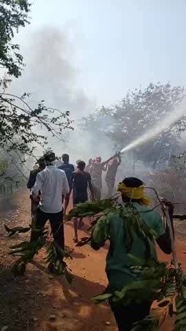 meja tahsil ke gram pipraw mauja g
aderiya ke jangal me lagi aag par kabu paya gaya