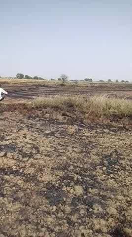 जिला दतिया भांडेर क्षेत्र के सैमाहा गांव का बड़ा हादसा लगभग 20 बीगा जमीन में आग लगने से गेहूं की फासल जली