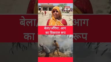 बेला/औरैया: आग का विकराल रूप, किसानों की फसल जलकर राख #Bela #Auraiya #Short #News