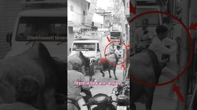 मौत को छु के 'टक' से वापस आ गया!#viralvideo #rajasthan #jhunjhunu #chirawa #reelsvideo #trendingnow