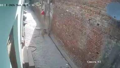 #हापुड़ में #कुत्ते के हमले का मामला सामने आया, जहां एक आवारा कुत्ते ने मासूम बच्चे पर हमला कर दिया