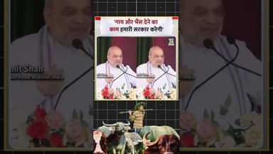 2026 का चुनाव या 1926 की सोच? Amit Shah का “गाय-भैंस” वादा! #AmitShah #AssamPolitics #Election2026