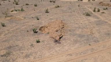 श्रीडूंगरगढ़: श्रीडूंगरगढ क्षेत्र में सोलर प्लांटों की आड़ में फिर से खेजड़ी की कटाई, ग्रामीणों ने प्रशासन पर लगाए लापरवाही के आरोप