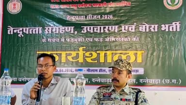 दंतेवाड़ा: तेंदूपत्ता के सफल संचालन हेतु कार्यशाला का आयोजन, कलेक्टर ने कहा- तेंदूपत्ता संग्रहण कार्य सभी विभागों की जिम्मेदारी है