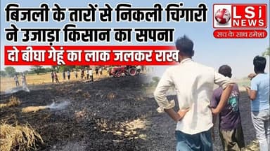 बिजली के तारों से निकली चिंगारी ने उजाड़ा किसान का सपना, दो बीघा गेहूं का लाक जलकर राख