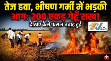 #बरेलीअपडेट
तेज हवा और भीषण गर्मी में भड़की आग, 200 एकड़ गेहूं की फसल जलकर राख.....