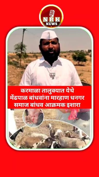 करमाळा तालुक्यातील गावात मेंढपाळावरती हल्ला धनगर समाज बांधव आक्रमक माध्यमांशी बोलताना दिली प्रतिक्रिया..
#GopichandPadal...