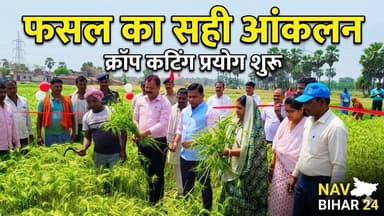 शेखपुरा में गेहूँ उत्पादन आंकलन हेतु क्रॉप कटिंग प्रयोग शुरू
#navbihar24 #NewsUpdate #shekhpuranews #Shekhpura #Breakin...