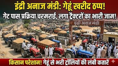 इंद्री अनाज मंडी में गेहूं खरीद व्यवस्था चरमराई, गेट पास प्रक्रिया ठप्प होने से ट्रैक्टर-ट्रॉलियों की लगी लंबी कतारें
#I...
