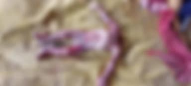 बस्ती: सीएचसी कुदरहा में लापरवाही से प्रसव के दौरान नवजात का सिर धड़ से हुआ अलग, स्वास्थ्य व्यवस्था पर उठे सवाल