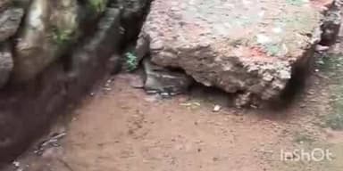 അടൂര്: കൊടുമൺ ചാങ്കൂർത്തറ ഭാഗത്ത് കനാൽ ചോർച്ചയെ തുടർന്ന് നിരവധി കുടുംബങ്ങൾ ദുരിതത്തിൽ