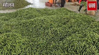 मटर के रेट में जबरदस्ती, जाने क्या रहा भाव
हिमाचल समय - Himachal Samay Media #lpghessrate #himachaliconaward2026 #solans...