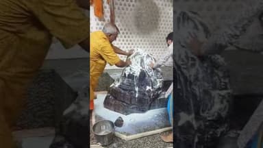 #गिरिराज गोवर्धन के दूध दही, पंचामृत अभिषेक के दर्शन@