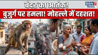 MP News: पन्ना में बंदरों का कहर | लोग डर के साए में || #bbn7news #breakingnews