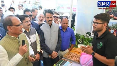 "कृषि मेले में टकराव: पटवारी को रोके जाने पर राजनीति तेज"
#shivrajsinghchouhan #politicnews #jitupatwari #congresss #bjp...