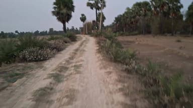 #video #sorts #reels #viral