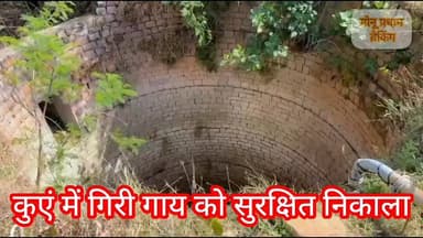 शिवपुरी-बदरवास के श्रीपुर गांव में खेत मे बने कुएं में गिरी गाय को सुरक्षित निकाला....
#monupradhan #shivpuri मोनू प्रध...