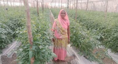 भरतपुर विकासखंड के ग्राम मसौरा की निवासी श्रीमती रामवती यादव आज आत्मनिर्भरता की मिसाल बन गई हैं। स्व सहायता समूह से जुड़...