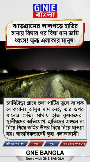 ঝাড়গ্রাম জেলার লালগড় থানা এলাকার চ্যামিটাড়া গ্রামে হাতির হানায় বিঘার পর বিঘা ধান জমি ধংস। স্থানীয় সূত্রে জানা যাচ্ছ...