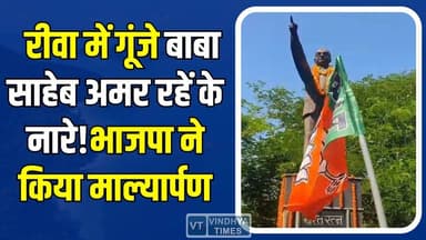 रीवा में भाजपा का आयोजन, आंबेडकर जयंती पर नेताओं ने किया माल्यार्पण और नमन #AmbedkarJayanti #DrBhimraoAmbedkar #Babasah...
